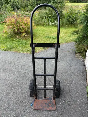195: Dolly - online auction on EastBid