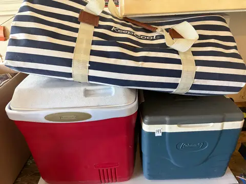 173: Cooler + Cooler Bag - online auction on EastBid