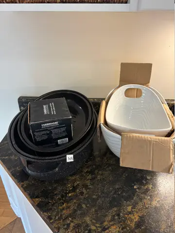101: Trays - online auction on EastBid