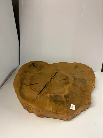 70: Thick Natural-Edge Tree-Slice Slab - thumbnail 1