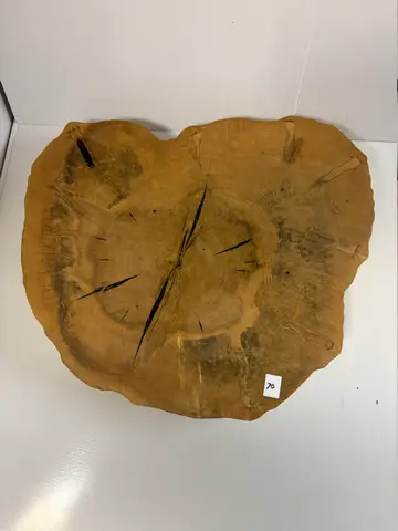 70: Thick Natural-Edge Tree-Slice Slab - thumbnail 2