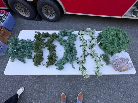23: Christmas Greenery Lot - Pine and Holly Garlands, Pine Cones - thumbnail 1